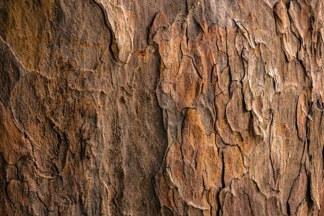 Duurzaam hout inkopen bij een houthandel in Emmen: wat zijn de mogelijkheden?