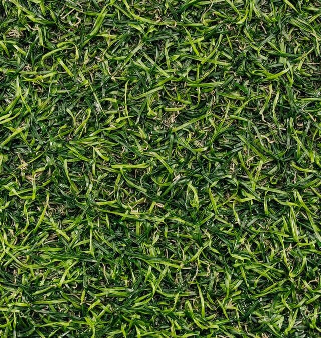 Kunstgras kopen, waar moet je op letten